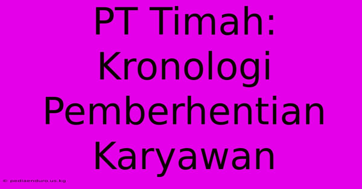 PT Timah:  Kronologi Pemberhentian Karyawan