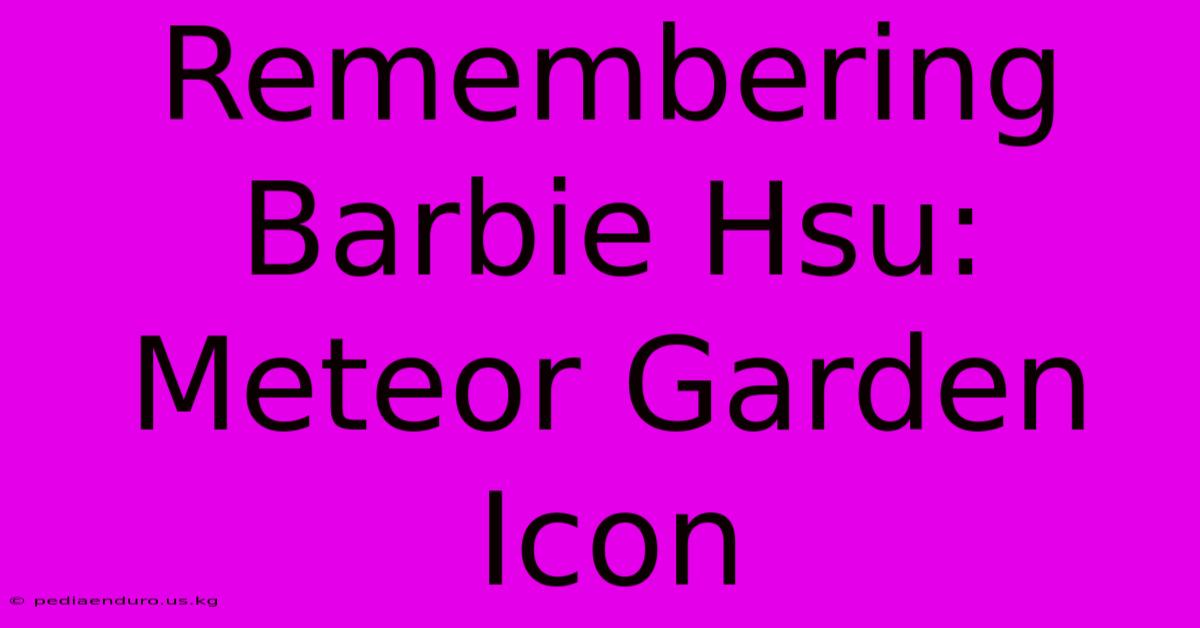 Remembering Barbie Hsu: Meteor Garden Icon