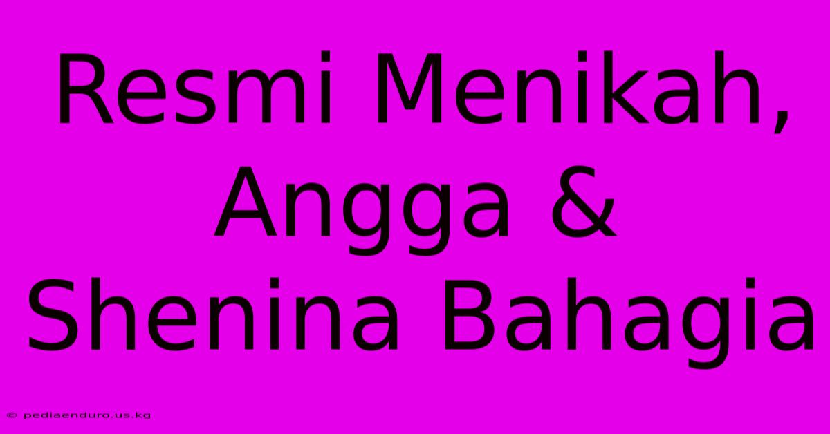 Resmi Menikah, Angga & Shenina Bahagia