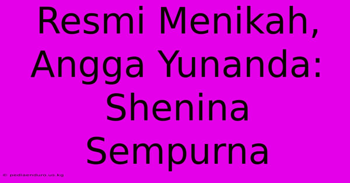 Resmi Menikah, Angga Yunanda: Shenina Sempurna