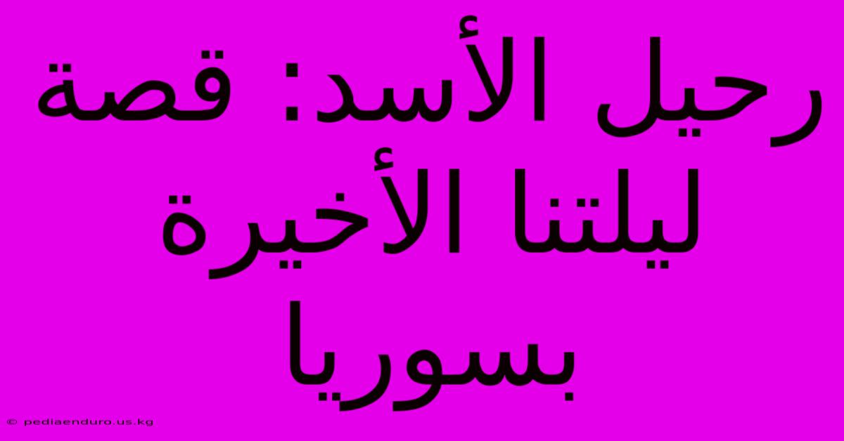 رحيل الأسد: قصة ليلتنا الأخيرة بسوريا