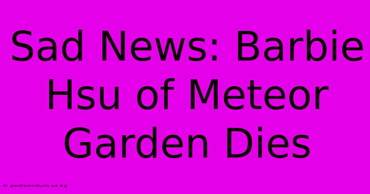 Sad News: Barbie Hsu Of Meteor Garden Dies