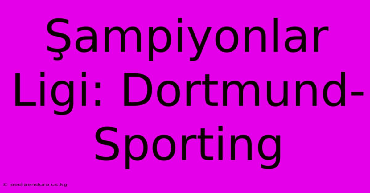 Şampiyonlar Ligi: Dortmund-Sporting