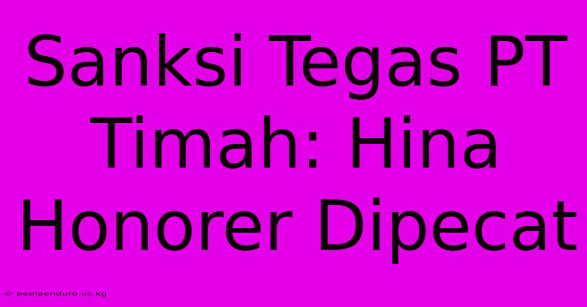 Sanksi Tegas PT Timah: Hina Honorer Dipecat