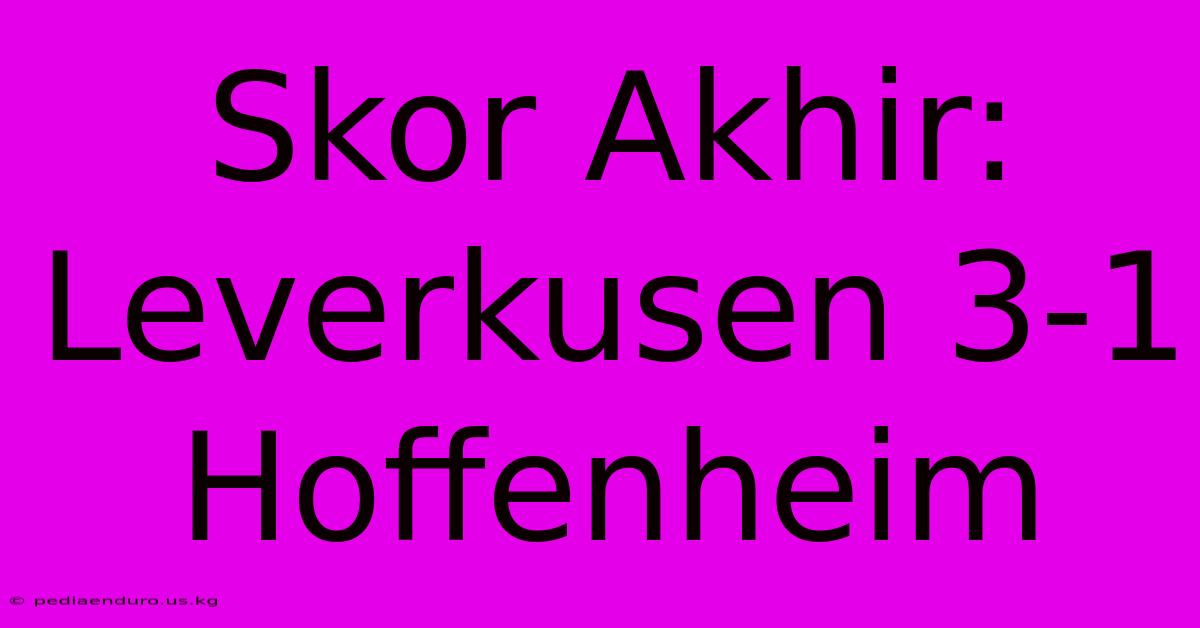 Skor Akhir: Leverkusen 3-1 Hoffenheim