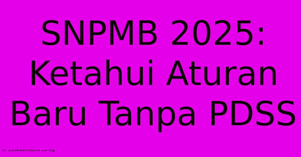 SNPMB 2025:  Ketahui Aturan Baru Tanpa PDSS