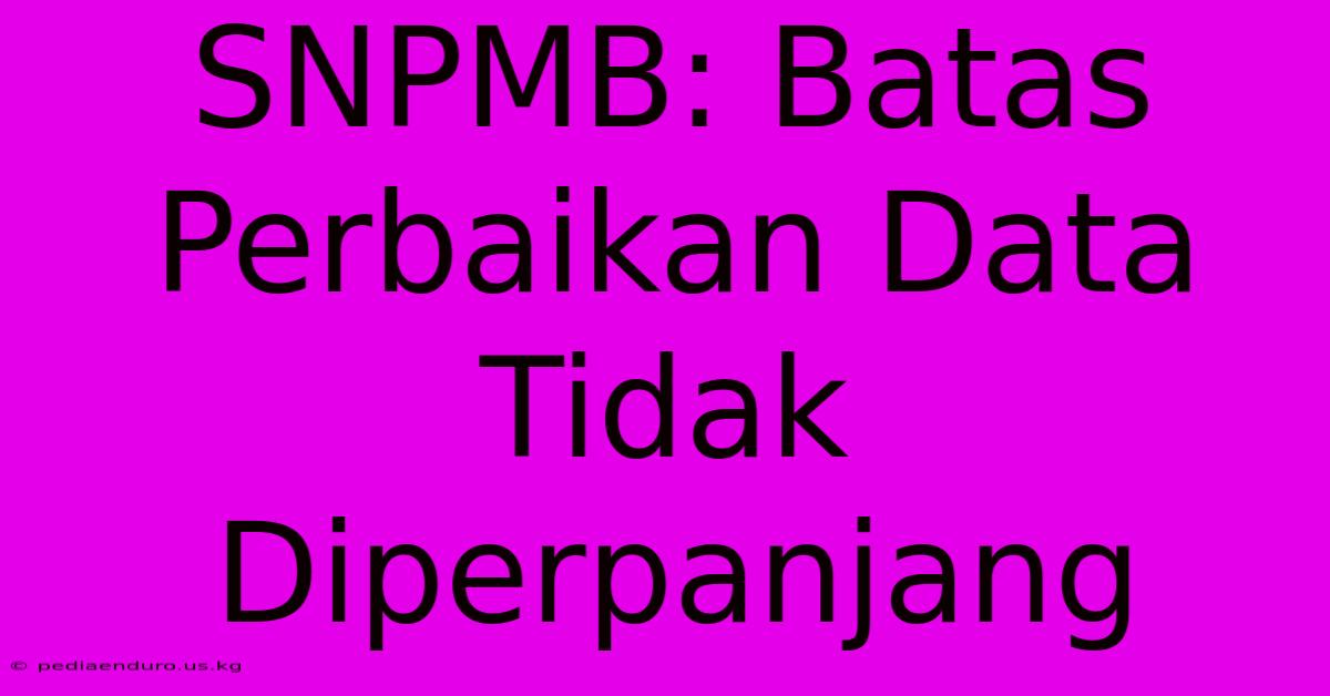 SNPMB: Batas Perbaikan Data Tidak Diperpanjang