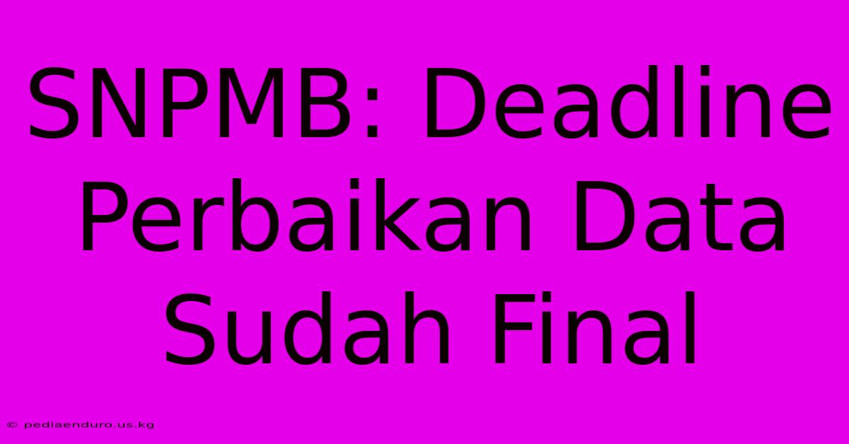 SNPMB: Deadline Perbaikan Data Sudah Final