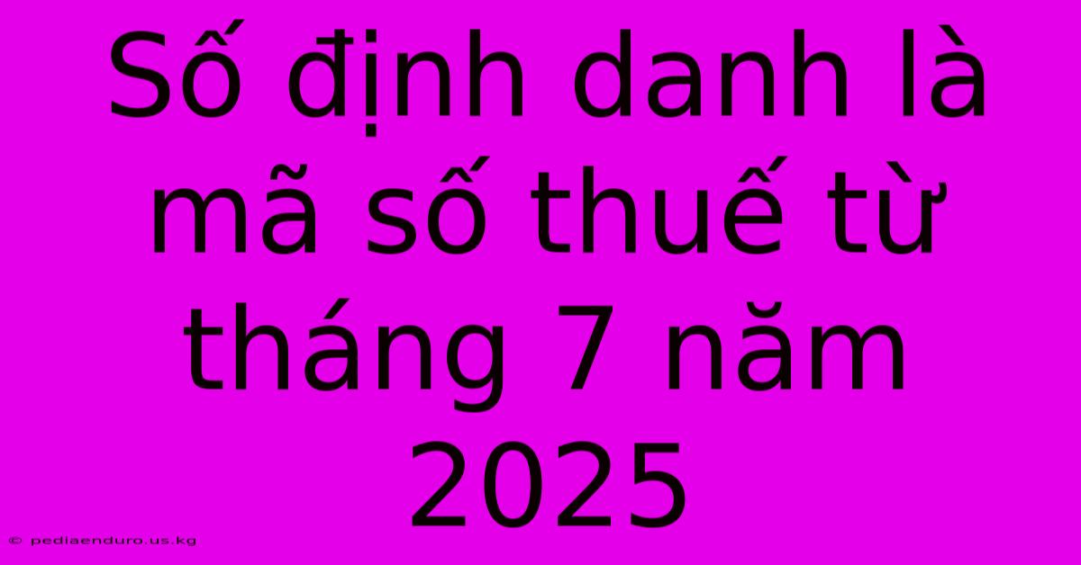 Số Định Danh Là Mã Số Thuế Từ Tháng 7 Năm 2025