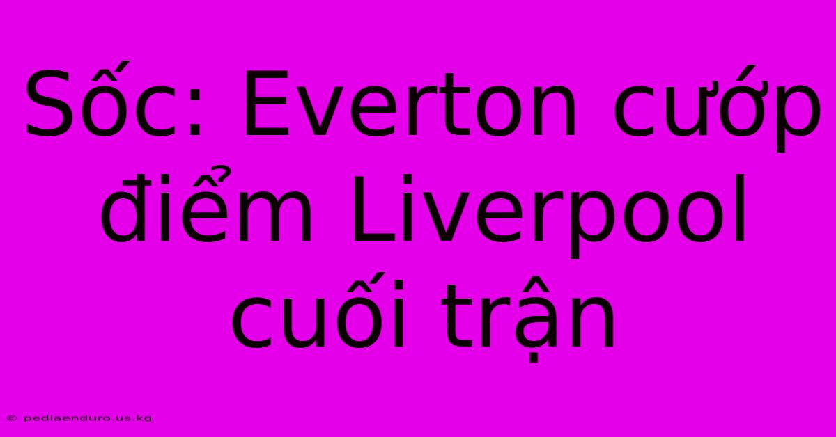 Sốc: Everton Cướp Điểm Liverpool Cuối Trận