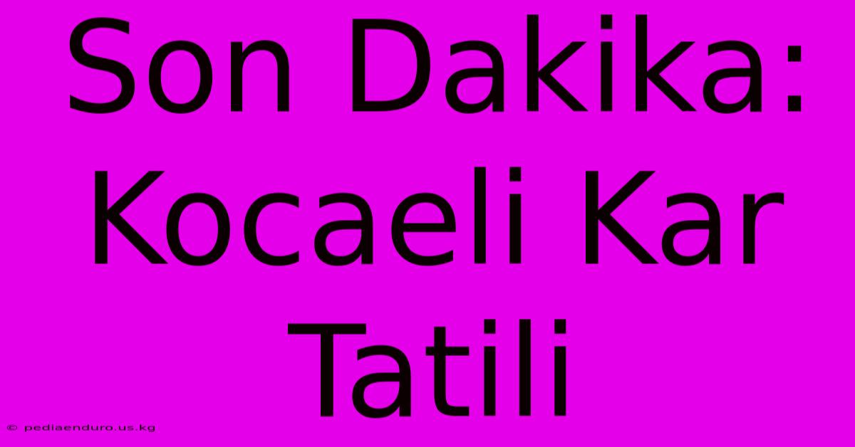 Son Dakika: Kocaeli Kar Tatili