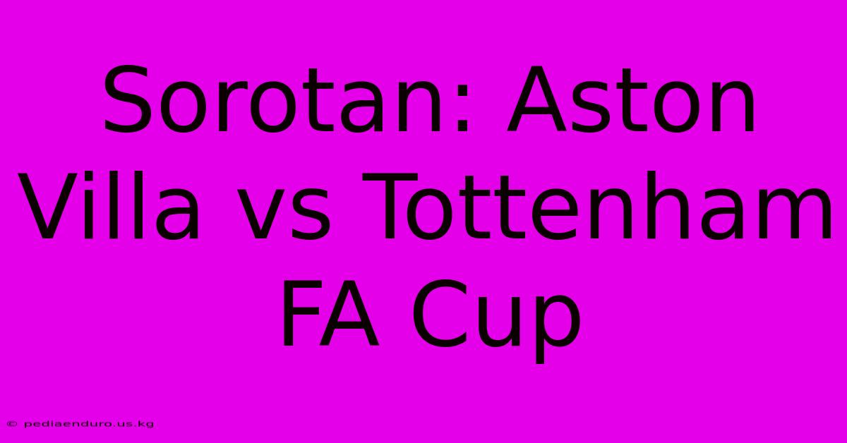 Sorotan: Aston Villa Vs Tottenham FA Cup