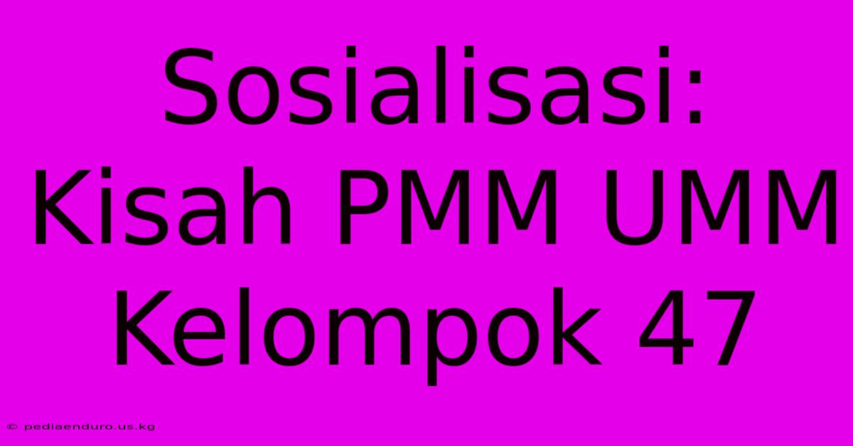 Sosialisasi: Kisah PMM UMM Kelompok 47