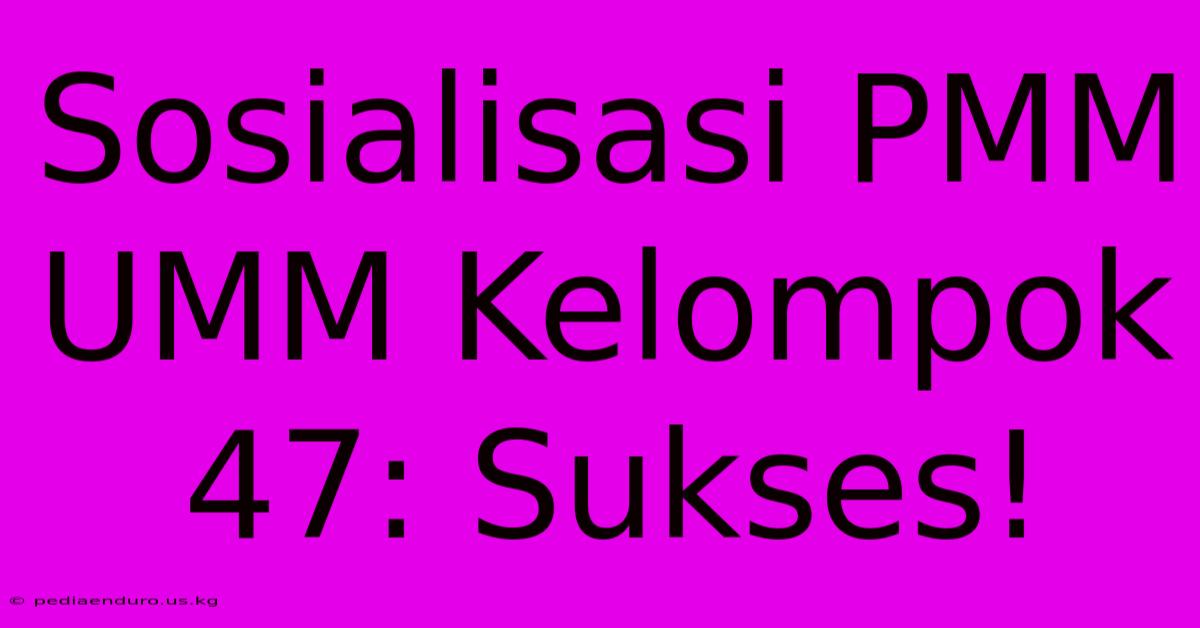 Sosialisasi PMM UMM Kelompok 47: Sukses!