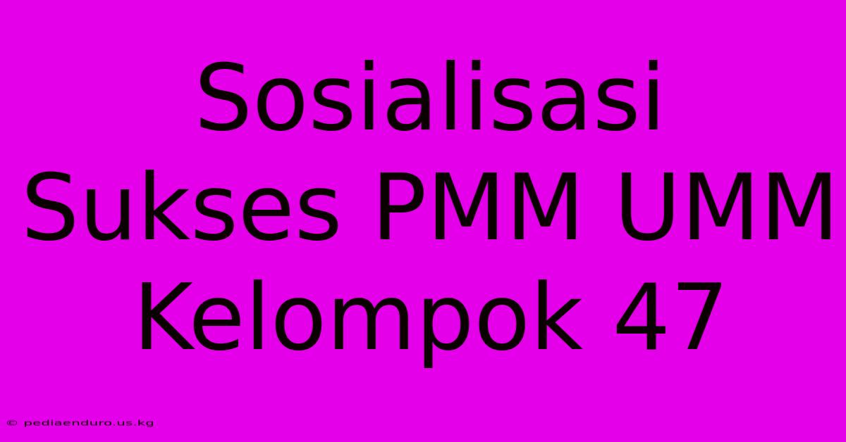 Sosialisasi Sukses PMM UMM Kelompok 47