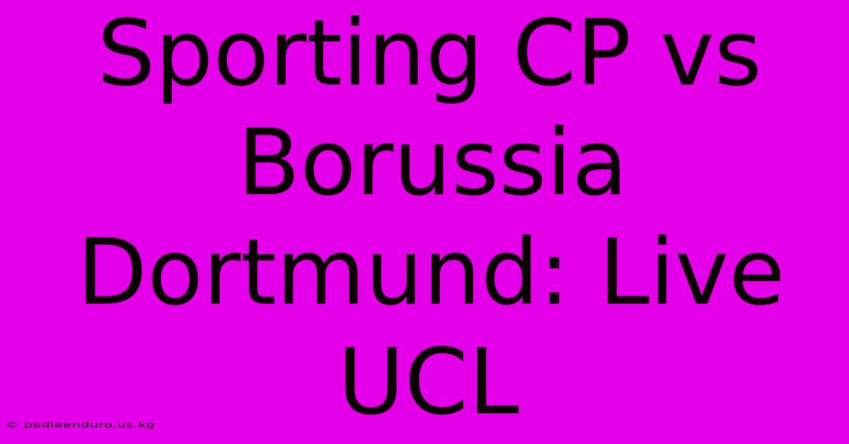 Sporting CP Vs Borussia Dortmund: Live UCL