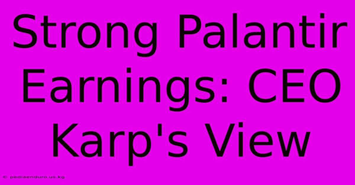 Strong Palantir Earnings: CEO Karp's View