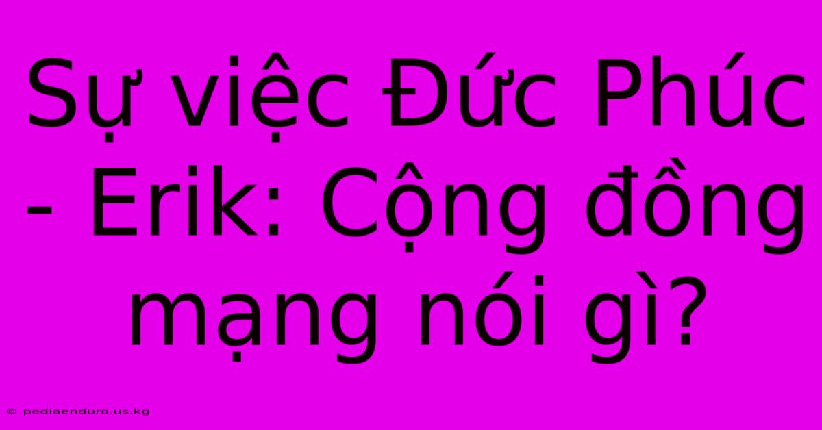 Sự Việc Đức Phúc - Erik: Cộng Đồng Mạng Nói Gì?