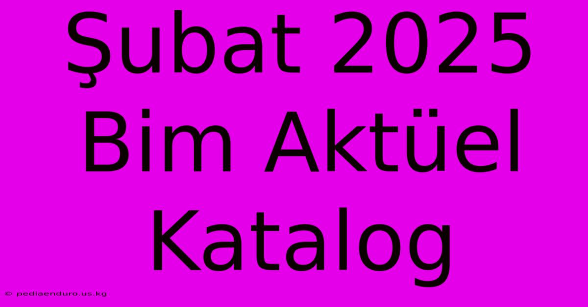 Şubat 2025 Bim Aktüel Katalog