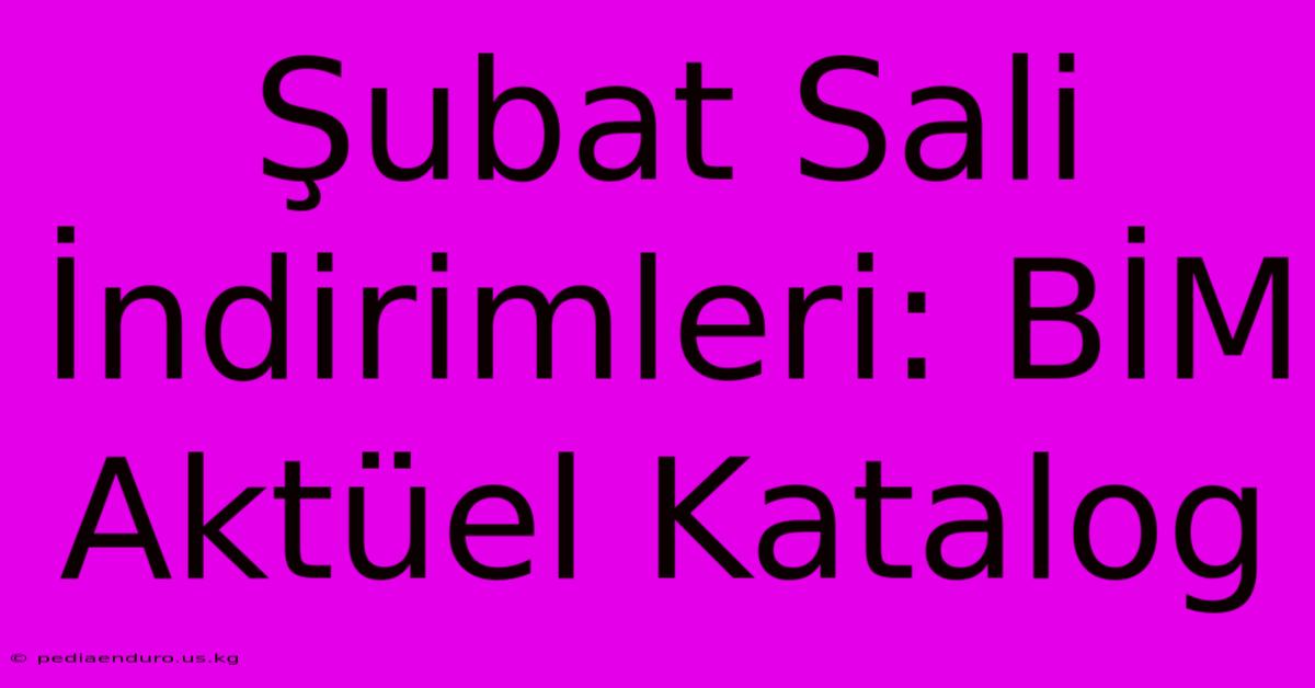 Şubat Sali İndirimleri: BİM Aktüel Katalog