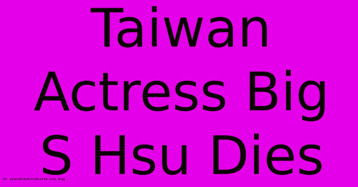 Taiwan Actress Big S Hsu Dies