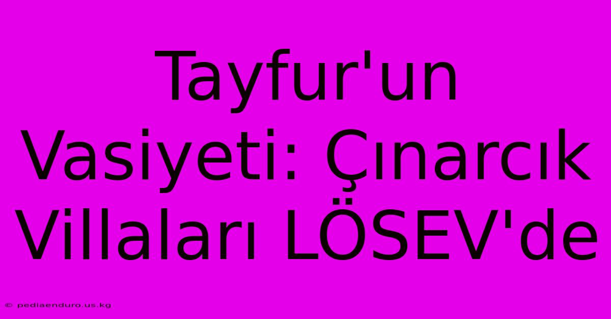 Tayfur'un Vasiyeti: Çınarcık Villaları LÖSEV'de