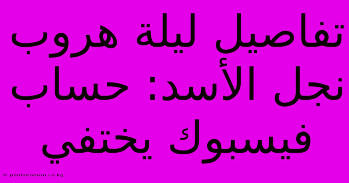 تفاصيل ليلة هروب نجل الأسد: حساب فيسبوك يختفي