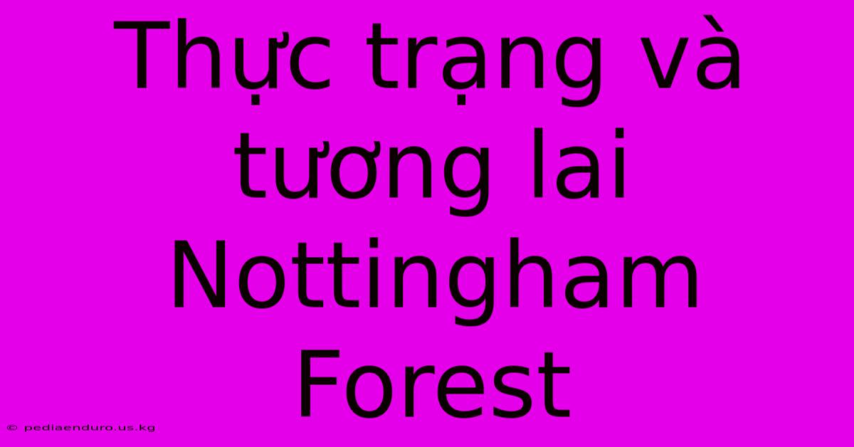 Thực Trạng Và Tương Lai Nottingham Forest