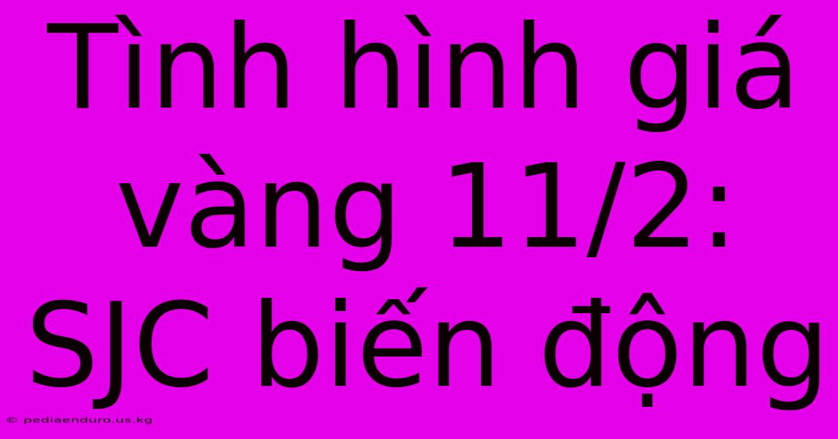 Tình Hình Giá Vàng 11/2: SJC Biến Động