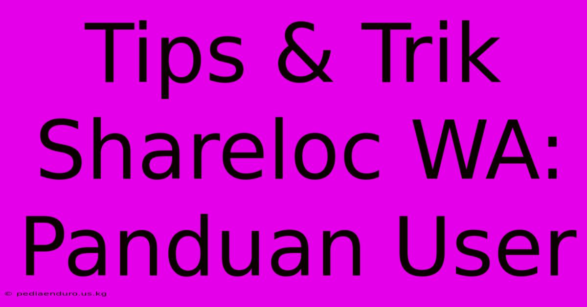 Tips & Trik Shareloc WA: Panduan User