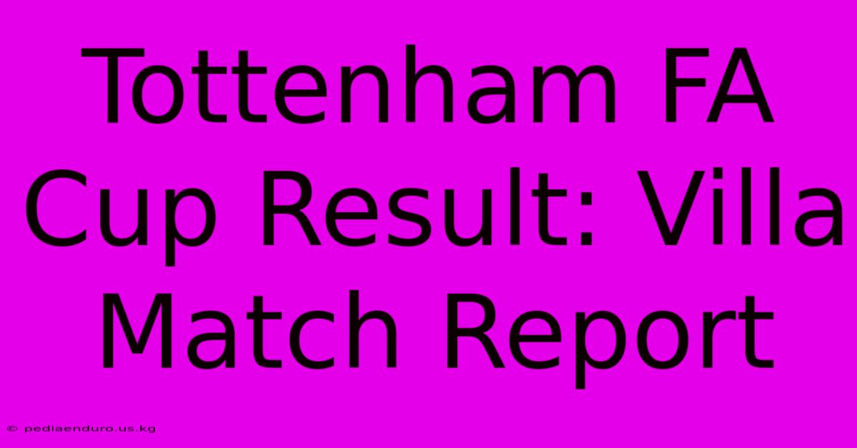 Tottenham FA Cup Result: Villa Match Report