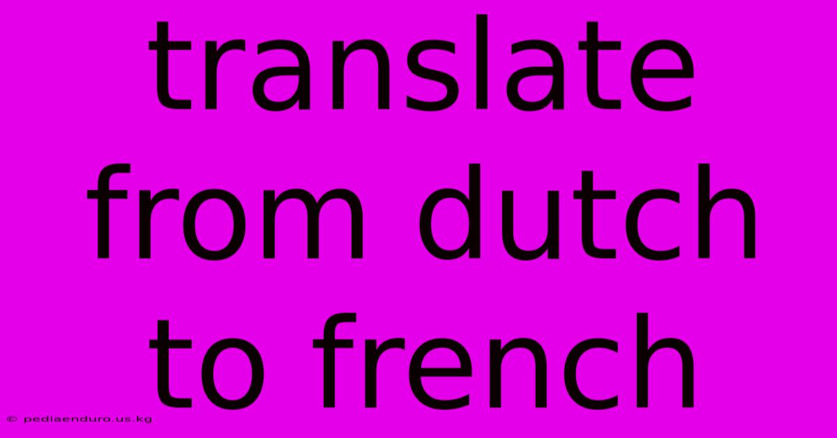 Translate From Dutch To French