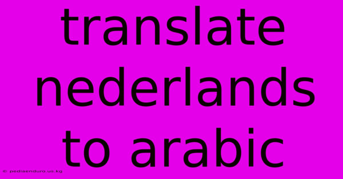 Translate Nederlands To Arabic