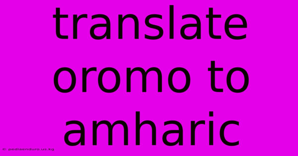 Translate Oromo To Amharic