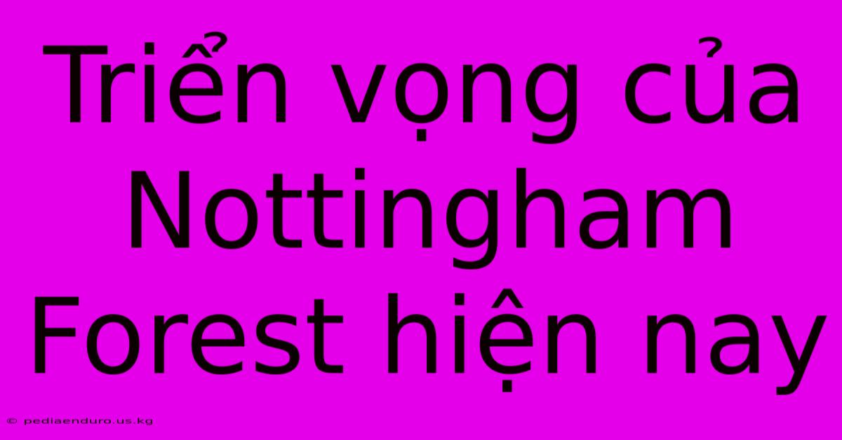 Triển Vọng Của Nottingham Forest Hiện Nay