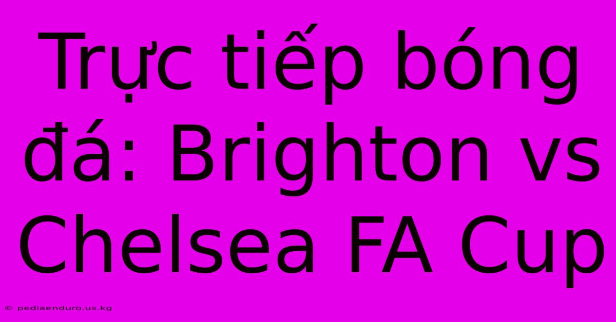 Trực Tiếp Bóng Đá: Brighton Vs Chelsea FA Cup