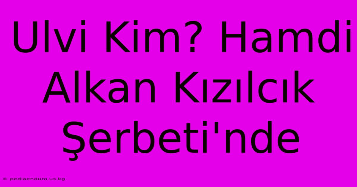 Ulvi Kim? Hamdi Alkan Kızılcık Şerbeti'nde