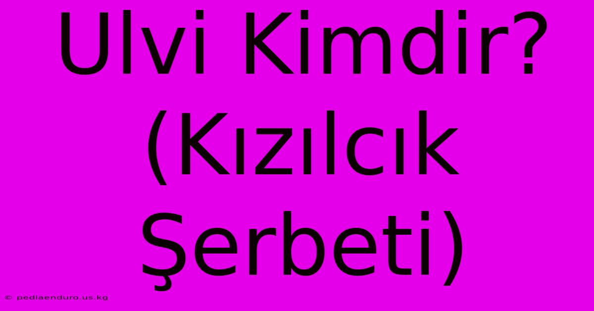 Ulvi Kimdir? (Kızılcık Şerbeti)