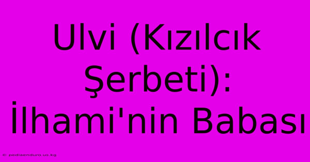 Ulvi (Kızılcık Şerbeti): İlhami'nin Babası