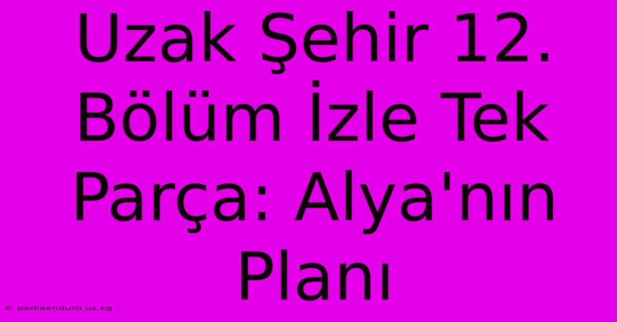 Uzak Şehir 12. Bölüm İzle Tek Parça: Alya'nın Planı