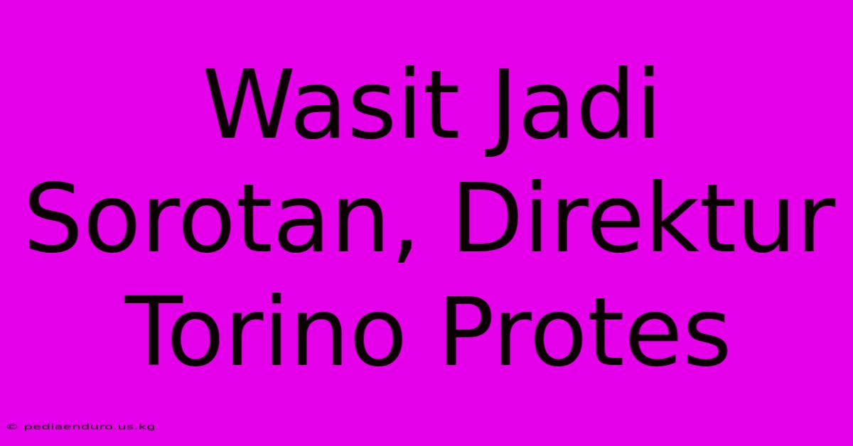 Wasit Jadi Sorotan, Direktur Torino Protes