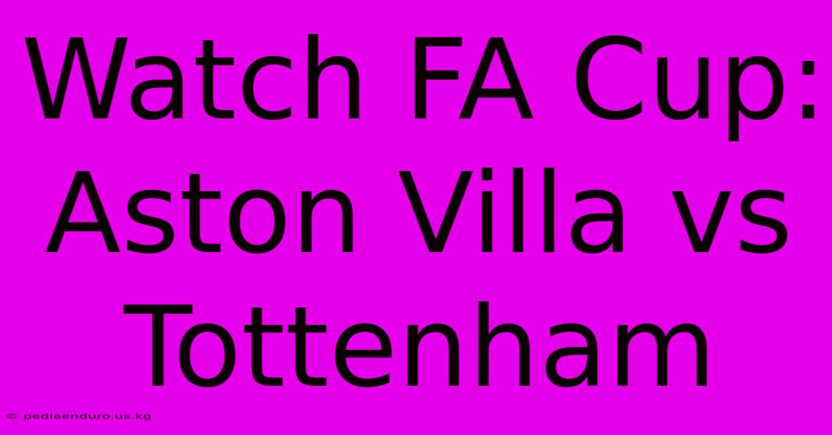 Watch FA Cup: Aston Villa Vs Tottenham