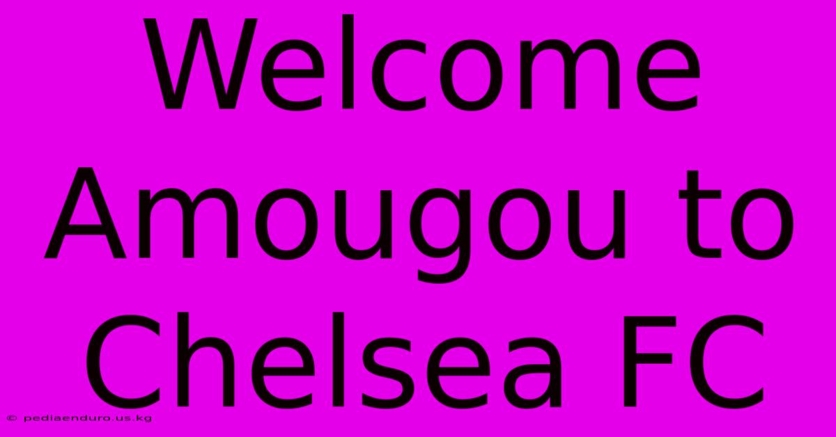 Welcome Amougou To Chelsea FC