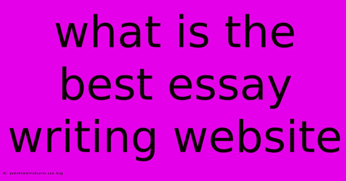 What Is The Best Essay Writing Website