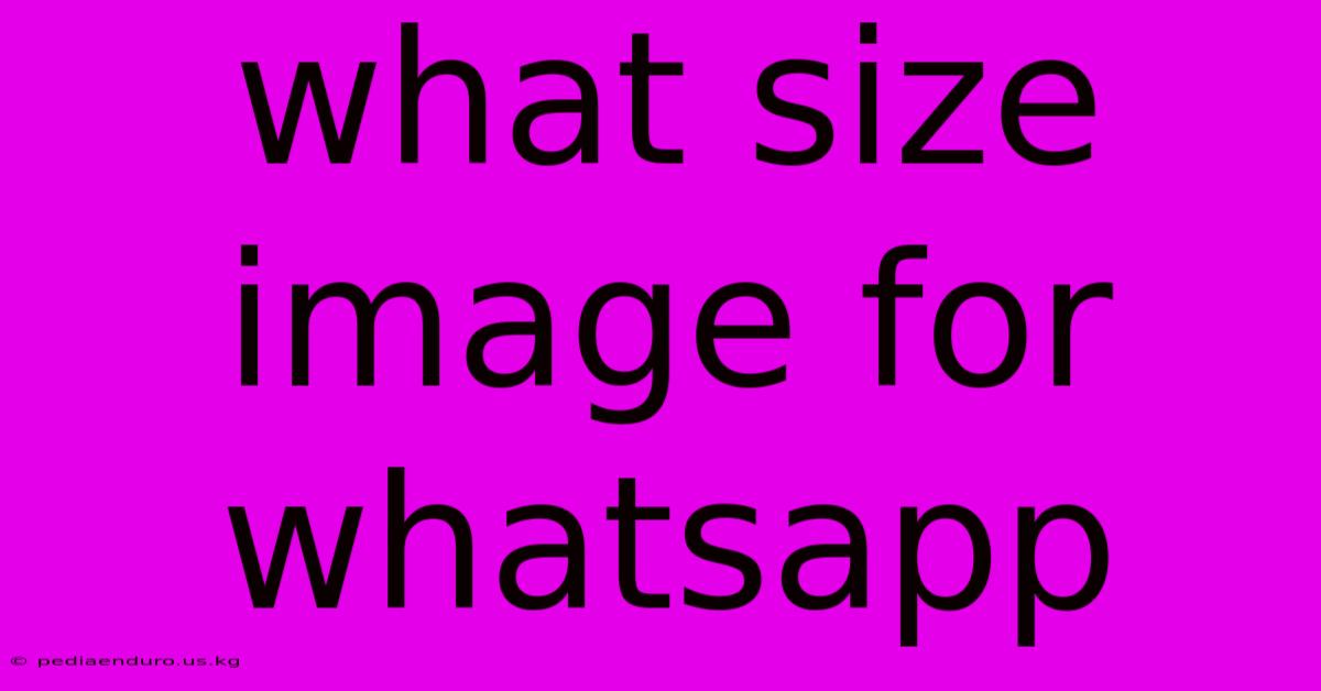 What Size Image For Whatsapp