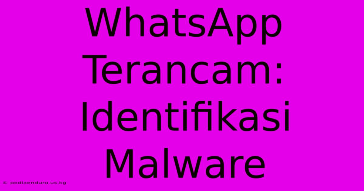 WhatsApp Terancam: Identifikasi Malware