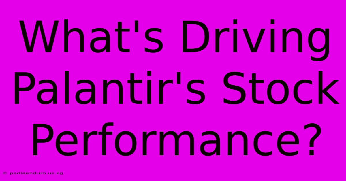 What's Driving Palantir's Stock Performance?