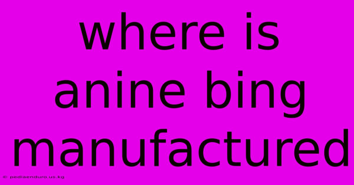 Where Is Anine Bing Manufactured