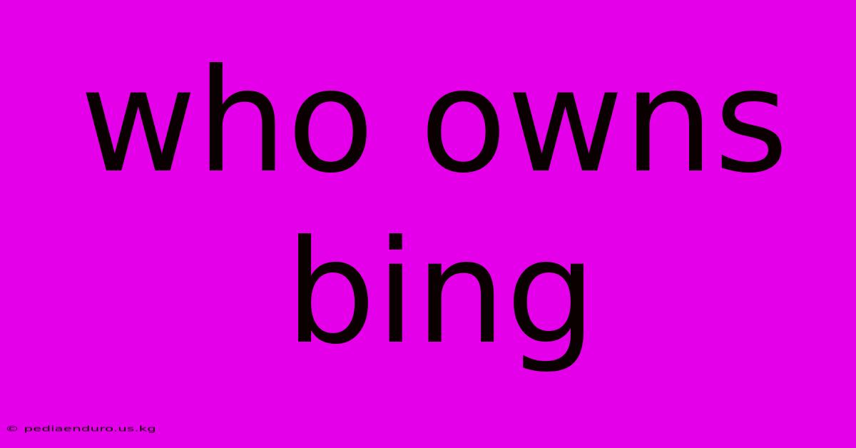 Who Owns Bing