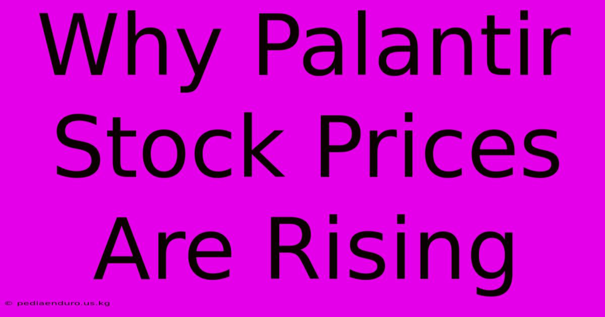 Why Palantir Stock Prices Are Rising